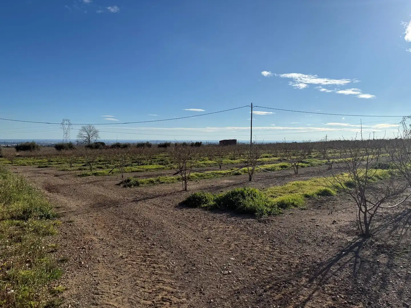 Casa rústica en venta en La Selva del Camp, imagen 38