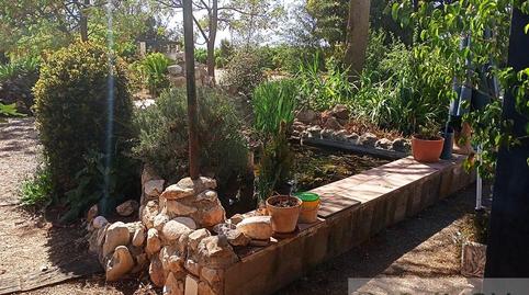 Foto 2 de Finca rústica en venta en Ondara, Alicante