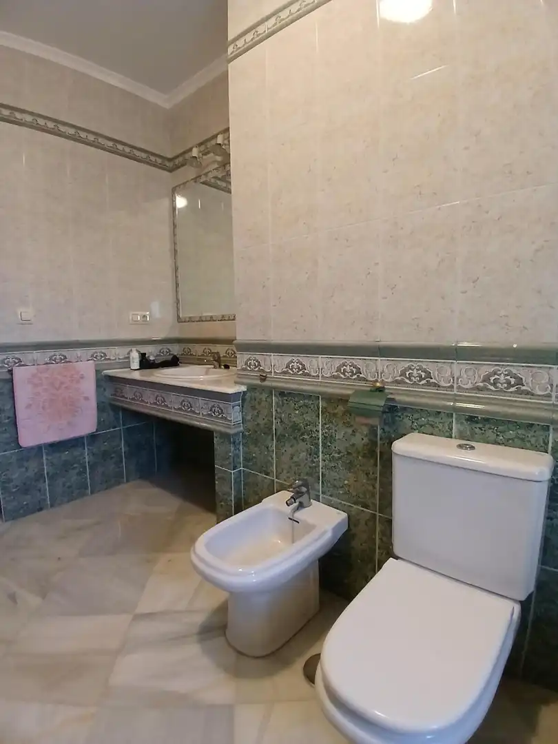 Baño de Casa o chalet en venta en Puerto Real con Piscina