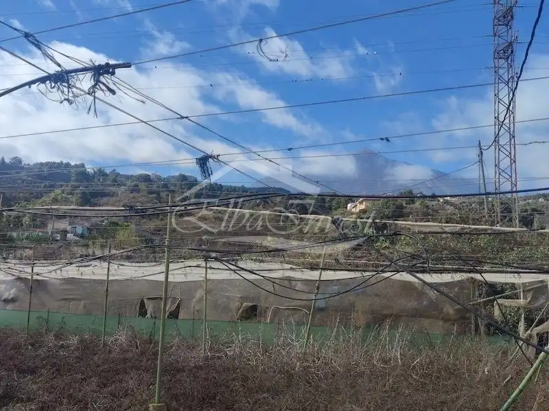 Terreno residenziale in vendita a La Guancha, imagen 19