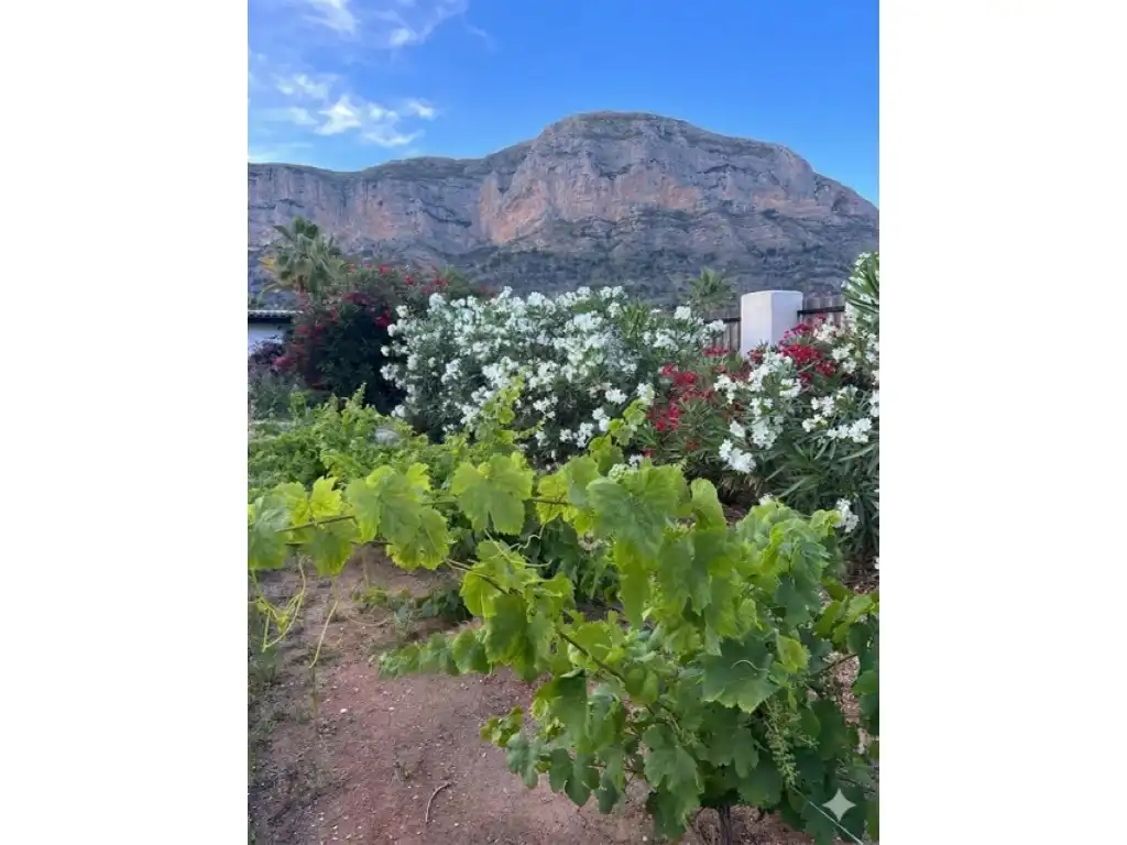 Jardín de Casa o chalet en venta en Jávea / Xàbia