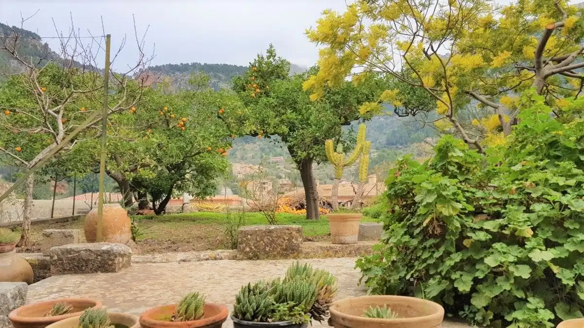 Houses for sale in Fornalutx