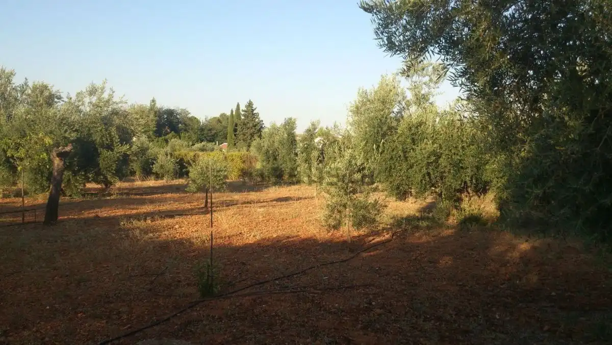 Casa rústica en venda a Valdepeñas, imagen 17
