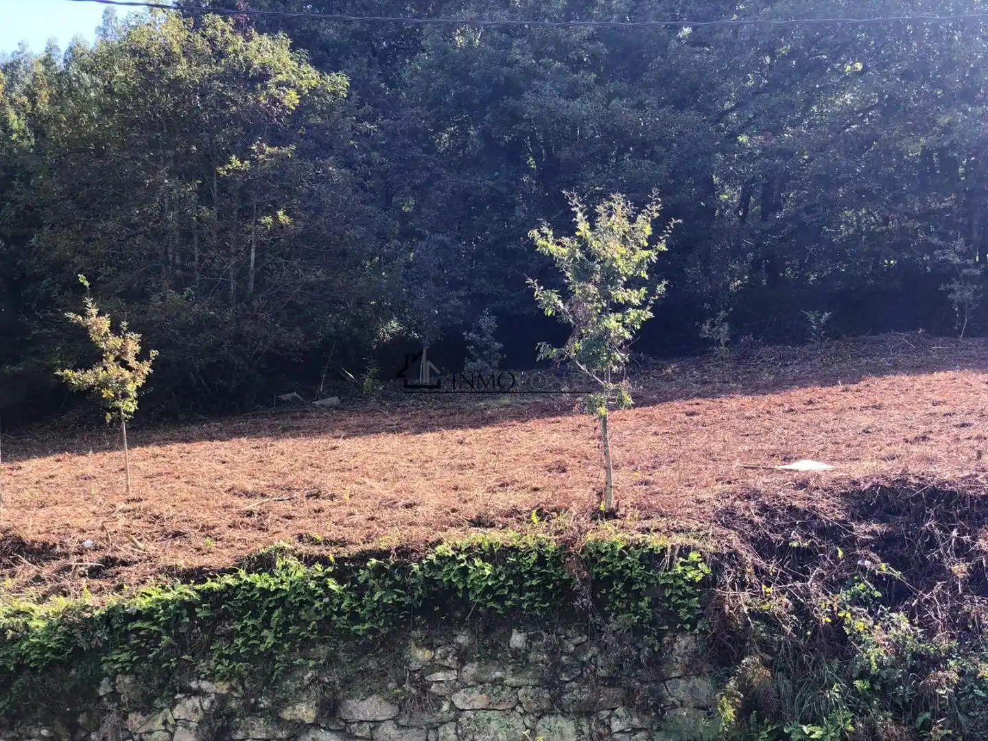 Terrenys i solars en venda a Cotobade, imagen 3