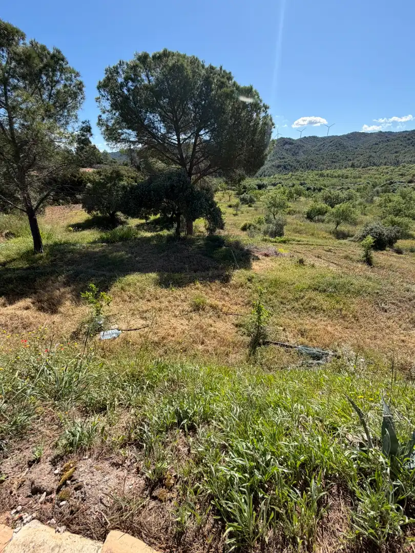 Finca rústica en venda en Ascó amb Aire condicionat, Calefacció i Piscina