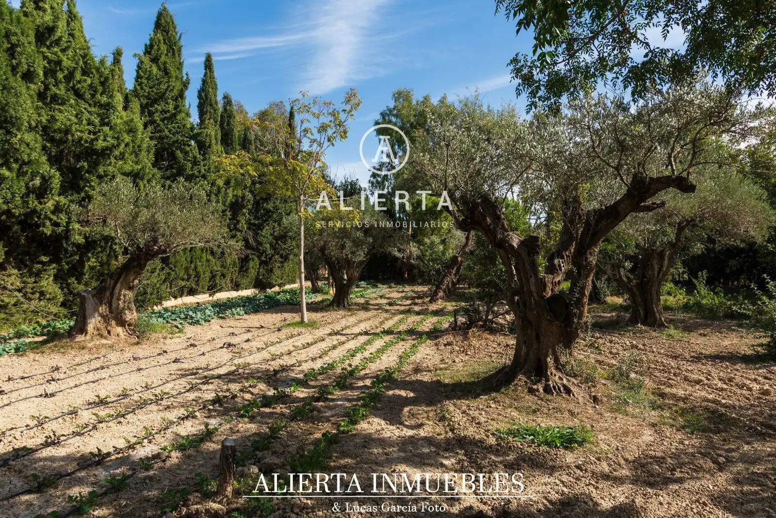 Houses for rent in Zaragoza  with Air Conditioner, Heating and Storage room