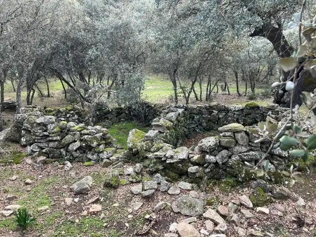 Terreno en venta en Almendral de la Cañada, Toledo