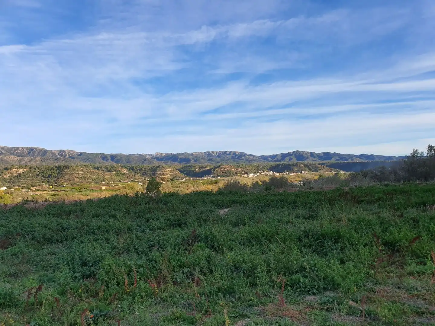 Terrain résidentiel à vendre à Xerta, imagen 6