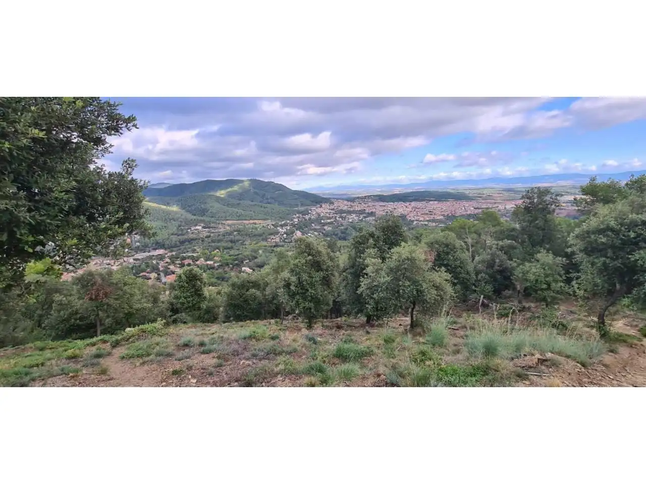 Terreny rústic en venda a Calle Serra de Sant Feliu
