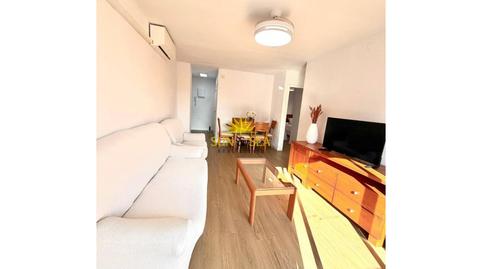 Photo 3 of Flat to rent in Punta Prima, Alicante