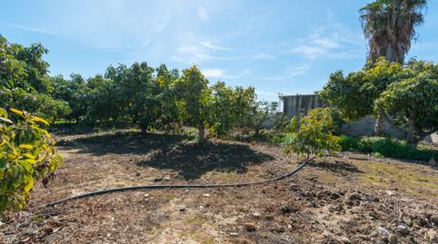 Foto 4 de Finca rústica en venta en Campo de Mijas, Mijas