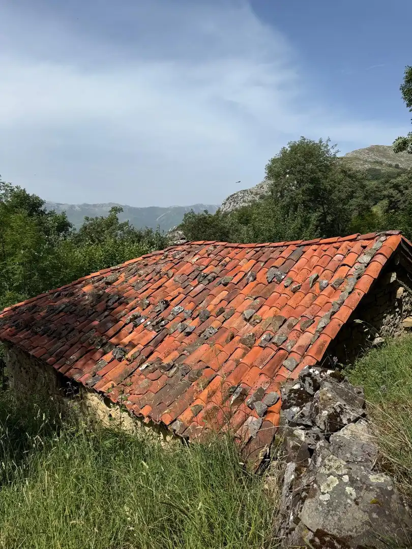 Casa con jardín en venta en Quirós, imagen 3