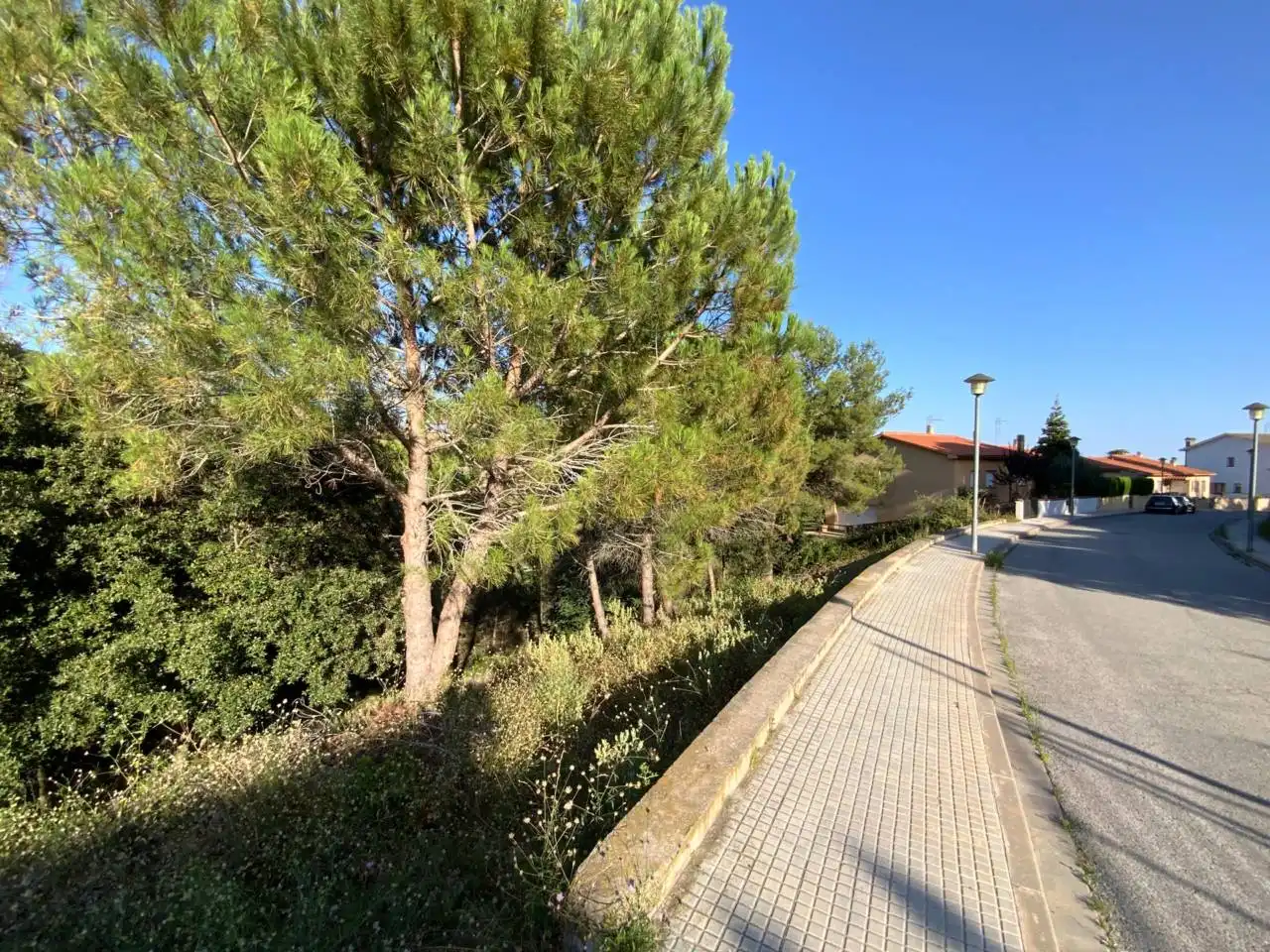 Wohnbaugrundstück zum Verkauf in Calle Berti, imagen 2