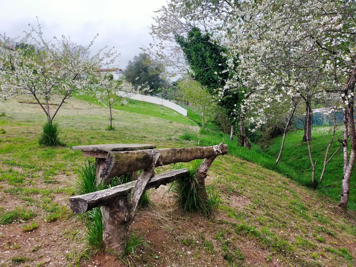 Casa rústica amb jardí en venda a Pravia, imagen 62