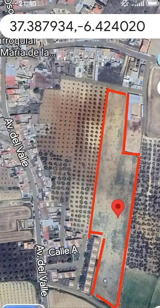 Finca rústica en venda en Manzanilla