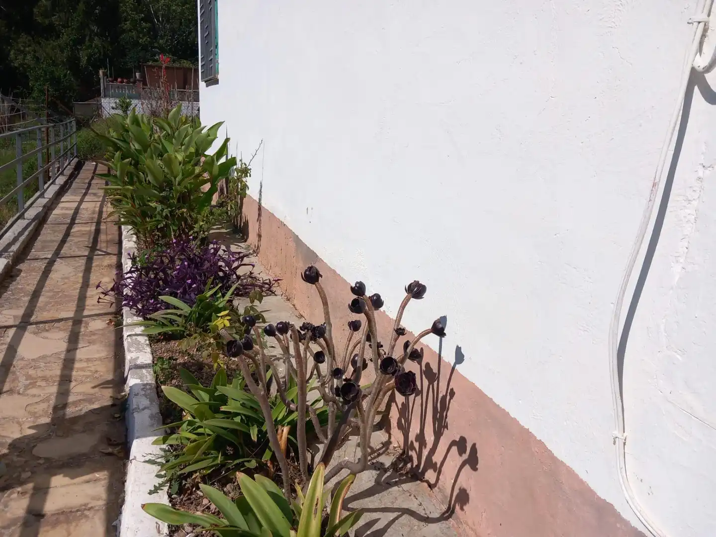 House with pool for sale in Torrelles de Foix, imagen 47