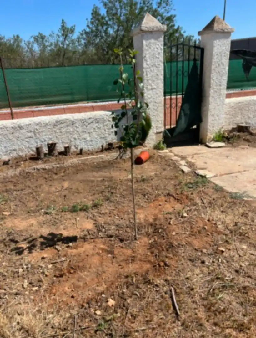 Villa avec jardin à vendre à Polígono Enchilagar del Rullo, imagen 12