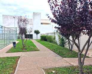 Exterior view of Garage for sale in Castilleja de Guzmán