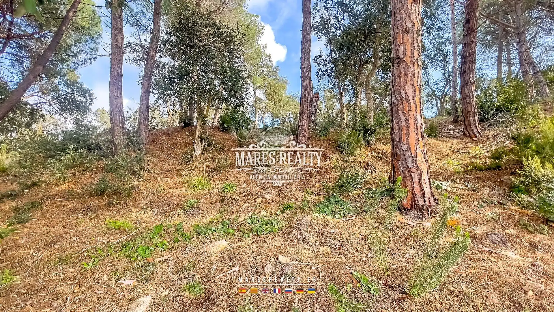 Terrenos y solares en venta en Pirineos 18, imagen 25