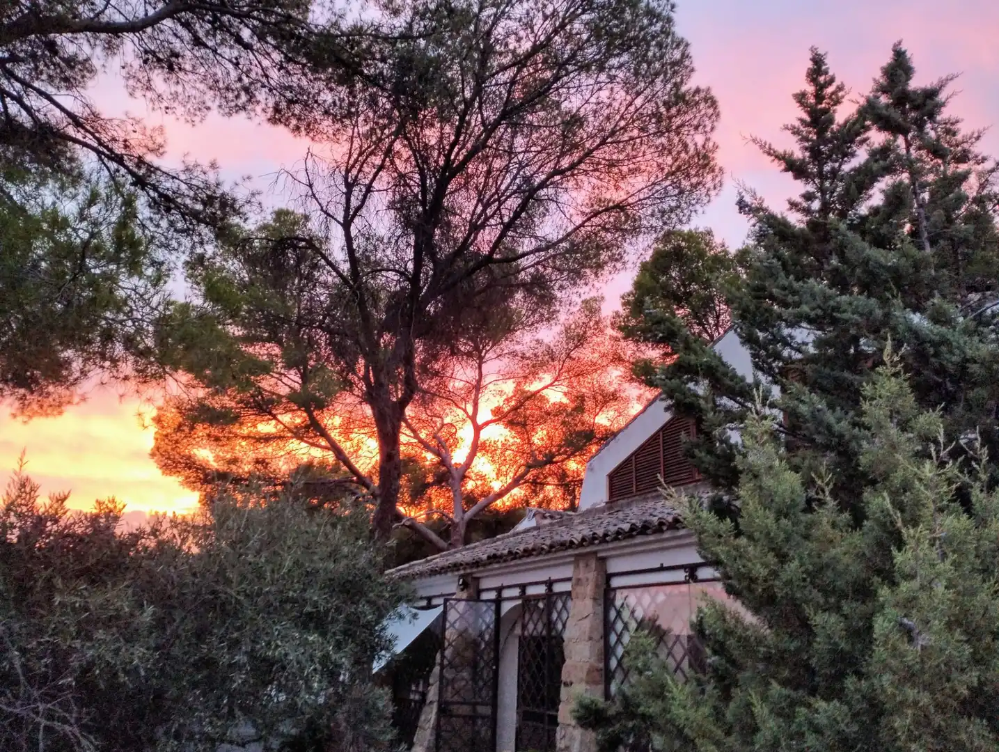 Vista exterior de Casa o chalet en venta en  Toledo Capital con Jardín privado, Terraza y Trastero