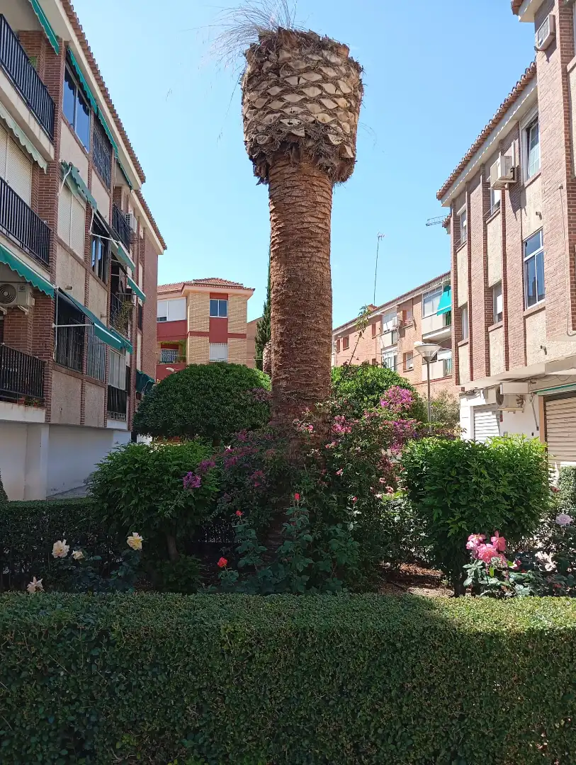 Außenansicht von Wohnung zum Verkauf in Granada mit Klimaanlage, Privatgarten und Terrasse