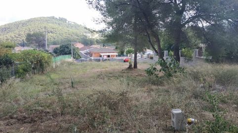 Parcela en Canyelles Les Palmeres, immagine 4