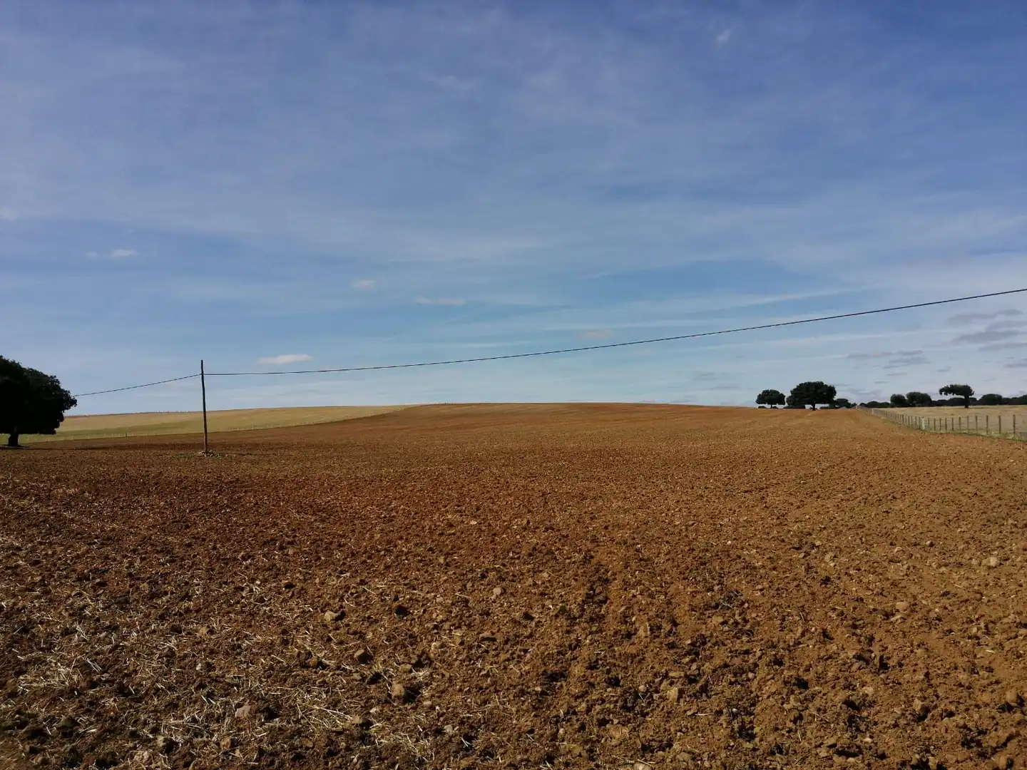 Terreny rústic en venda a Peñaranda de Bracamonte, imagen 2