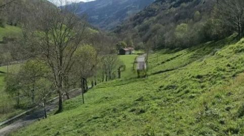 Imagen 5 del anuncio