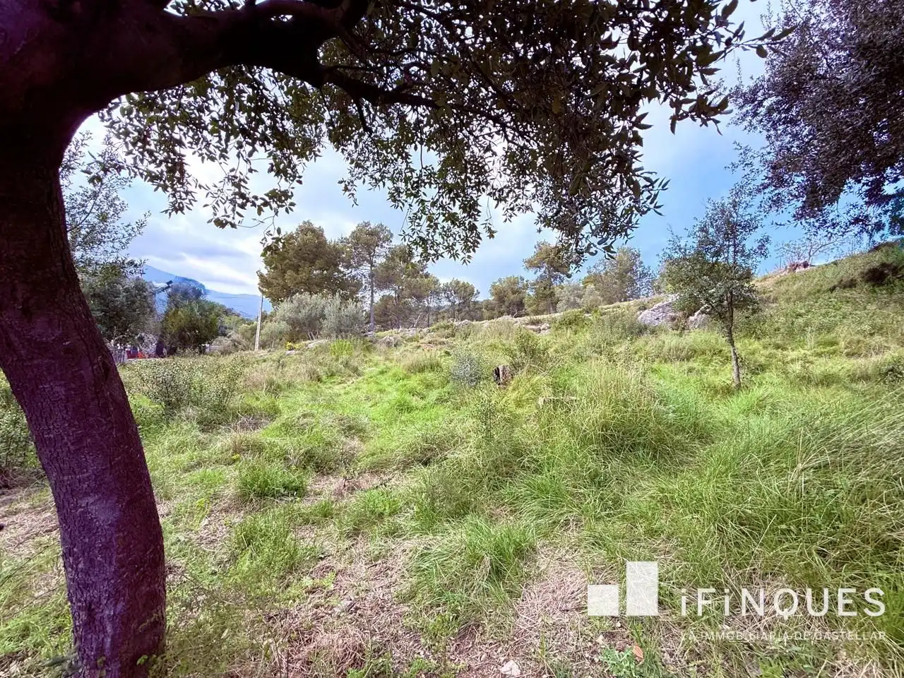 Lands and plots for sale in Airesol, imagen 9
