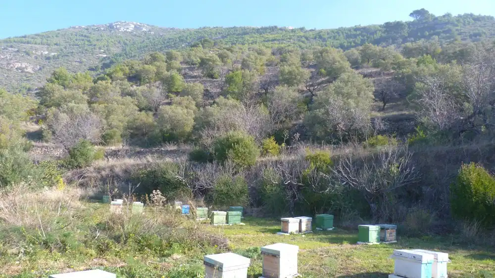 Terreni e lotti in vendita a Ítrabo, imagen 5