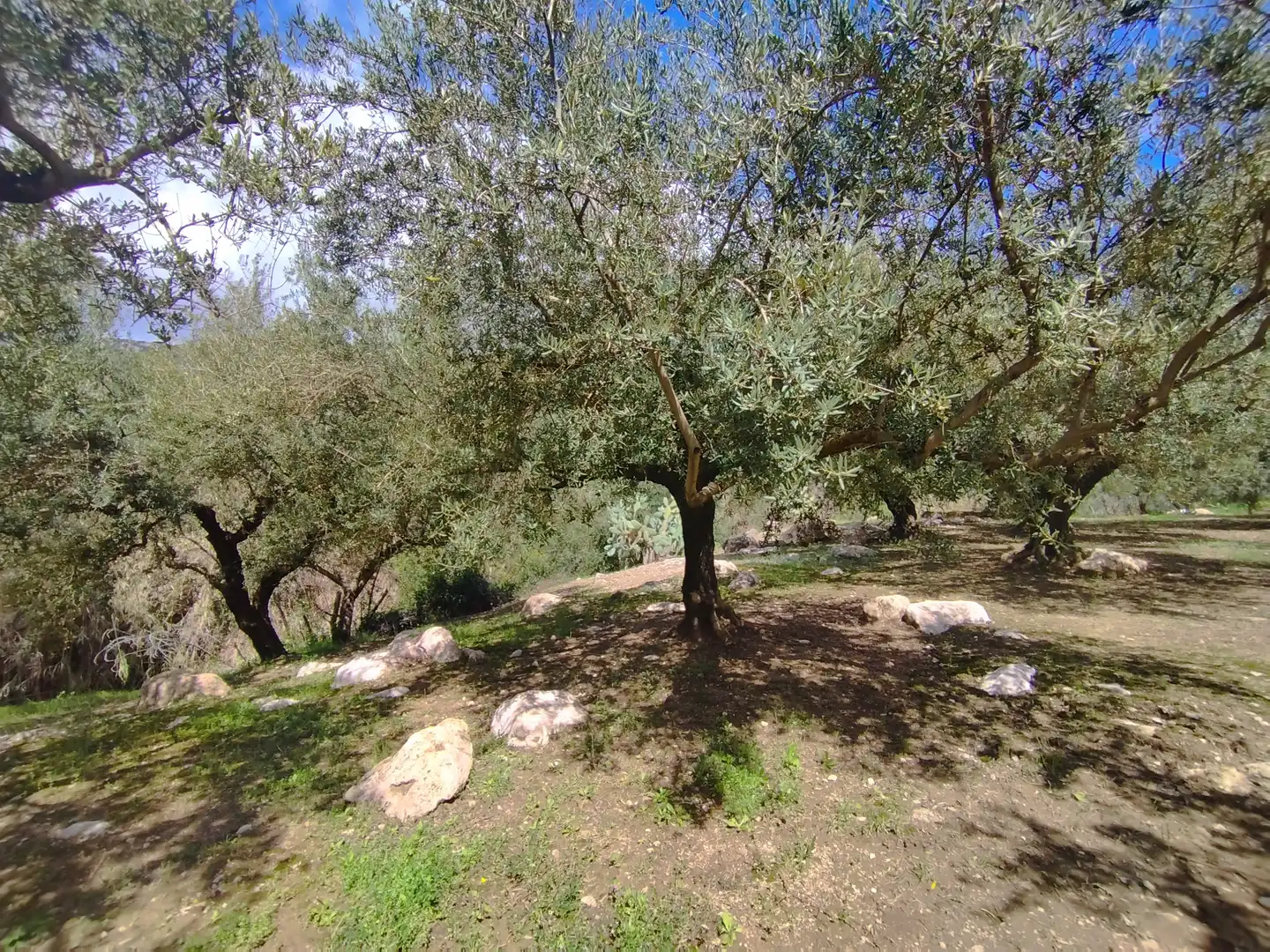 Habitatge amb terrassa en venda a Carretera Torre del Mar, imagen 39