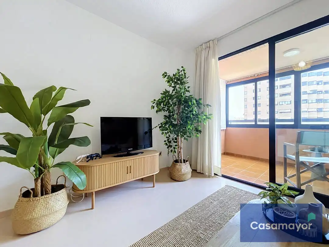 Sala d'estar de Pis en venda en Alicante / Alacant amb Jardí privat, Terrassa i Traster