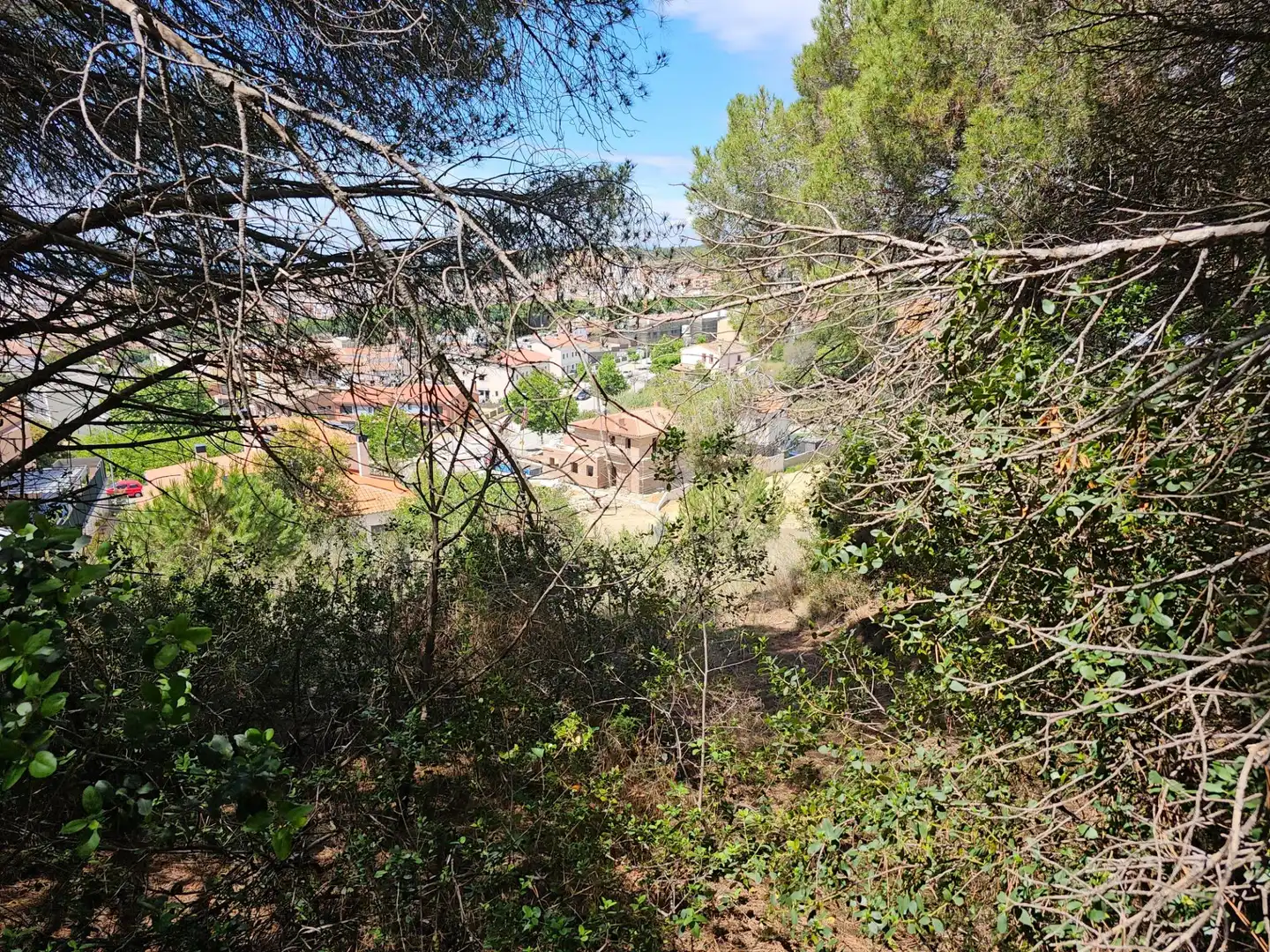 Finca rústica en venta en Canet de Mar con Jardín privado