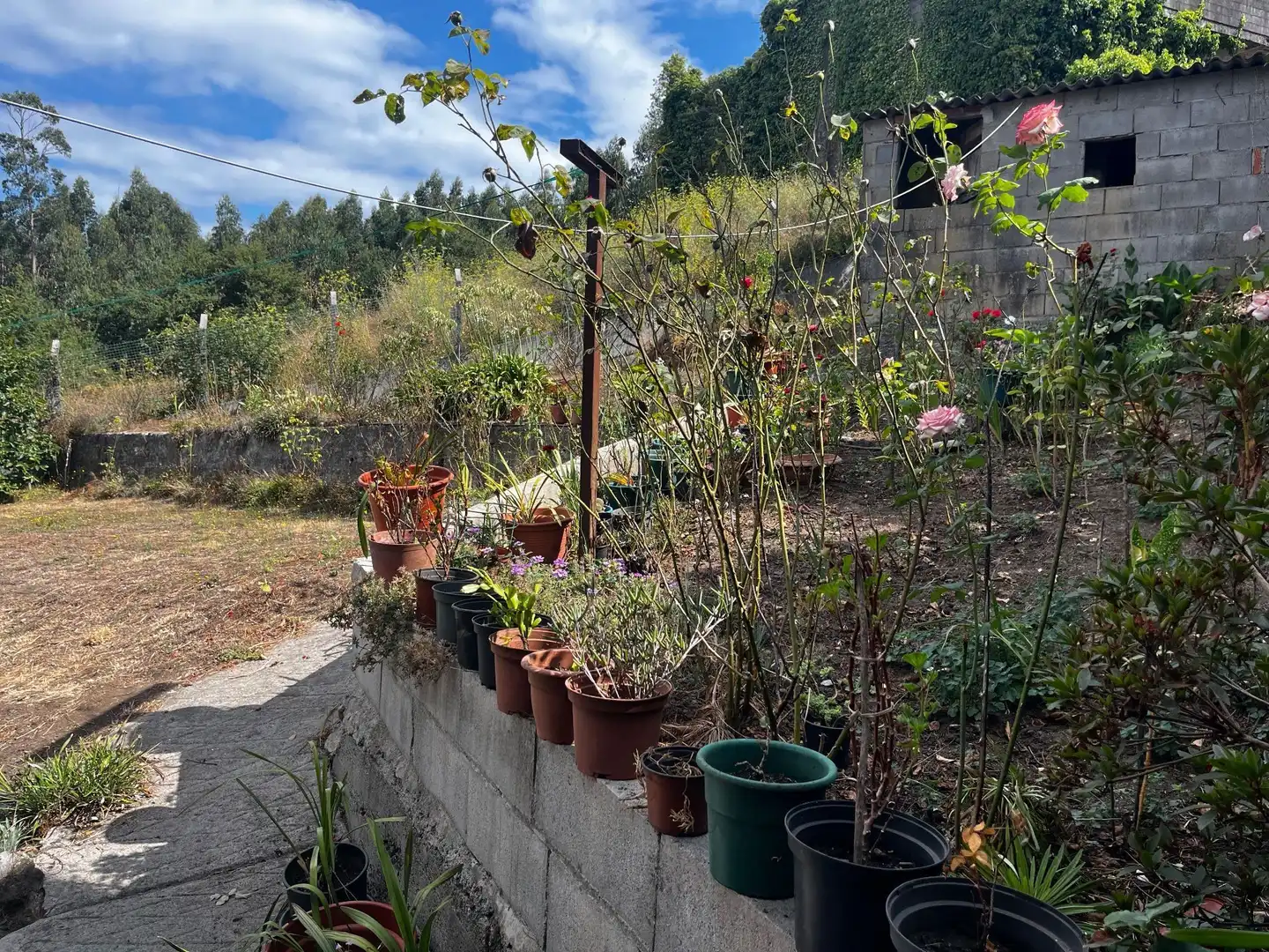 Casa rústica en venda a Silleda, imagen 22