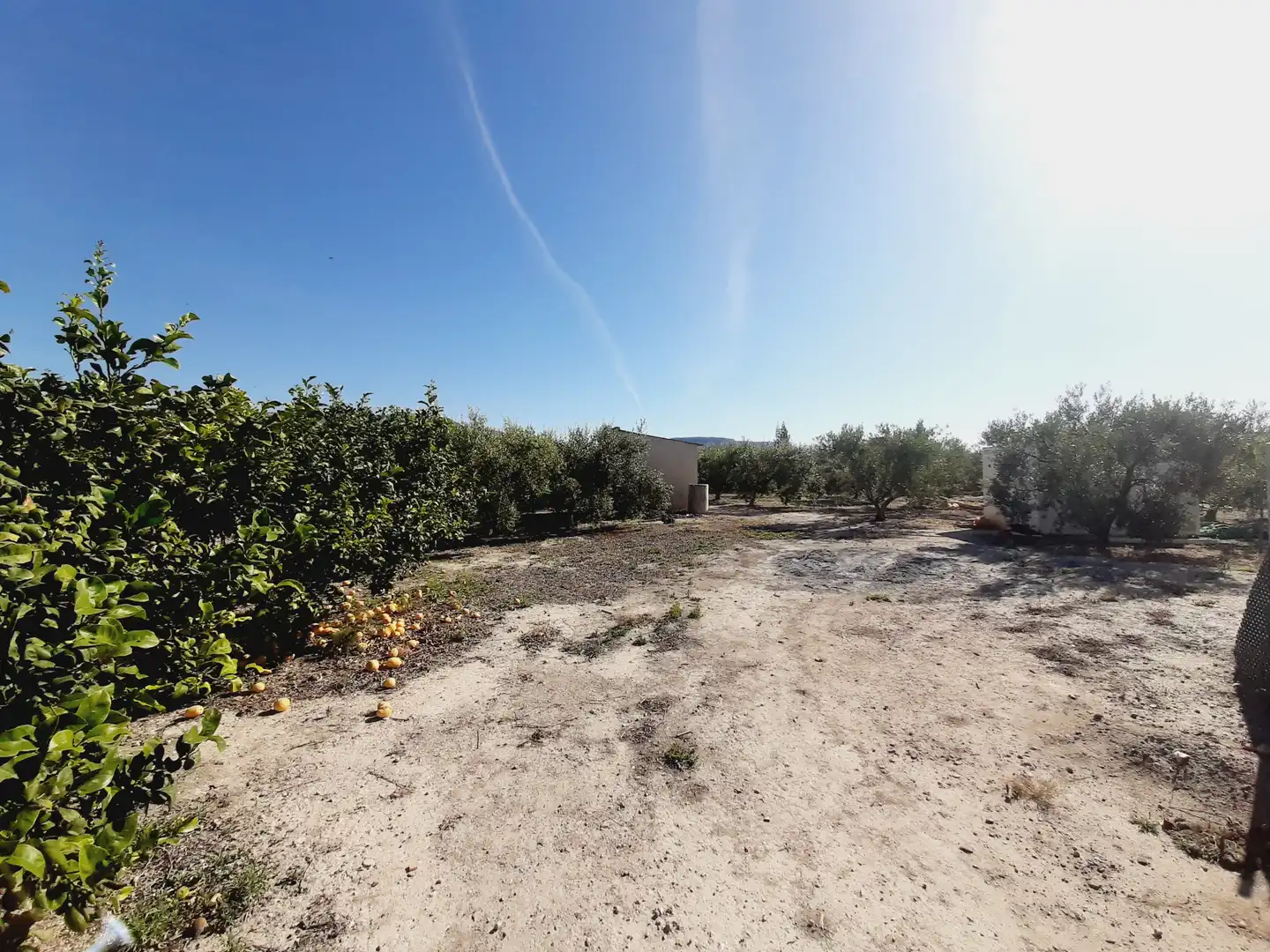 Lands and plots for sale in Mula, imagen 2