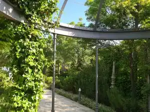 Villa mit Pool zum Verkauf in Villarrobledo, imagen 49