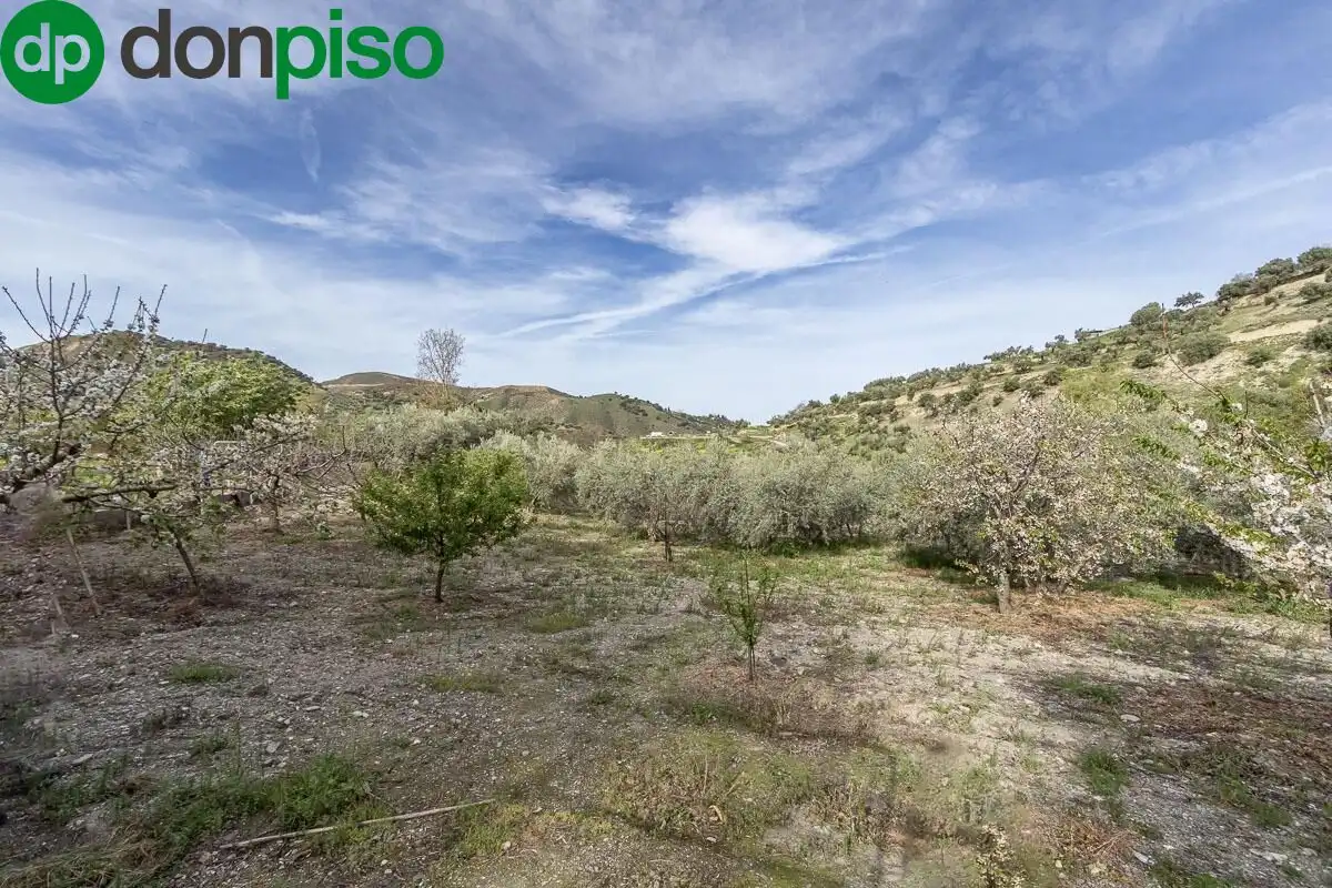 Finca rústica en venda en Monachil