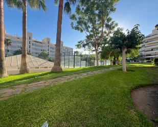 Vista exterior de Planta baixa de lloguer en Torremolinos amb Terrassa