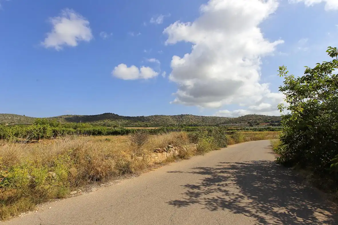 Rural land for sale in Alcanar, imagen 11