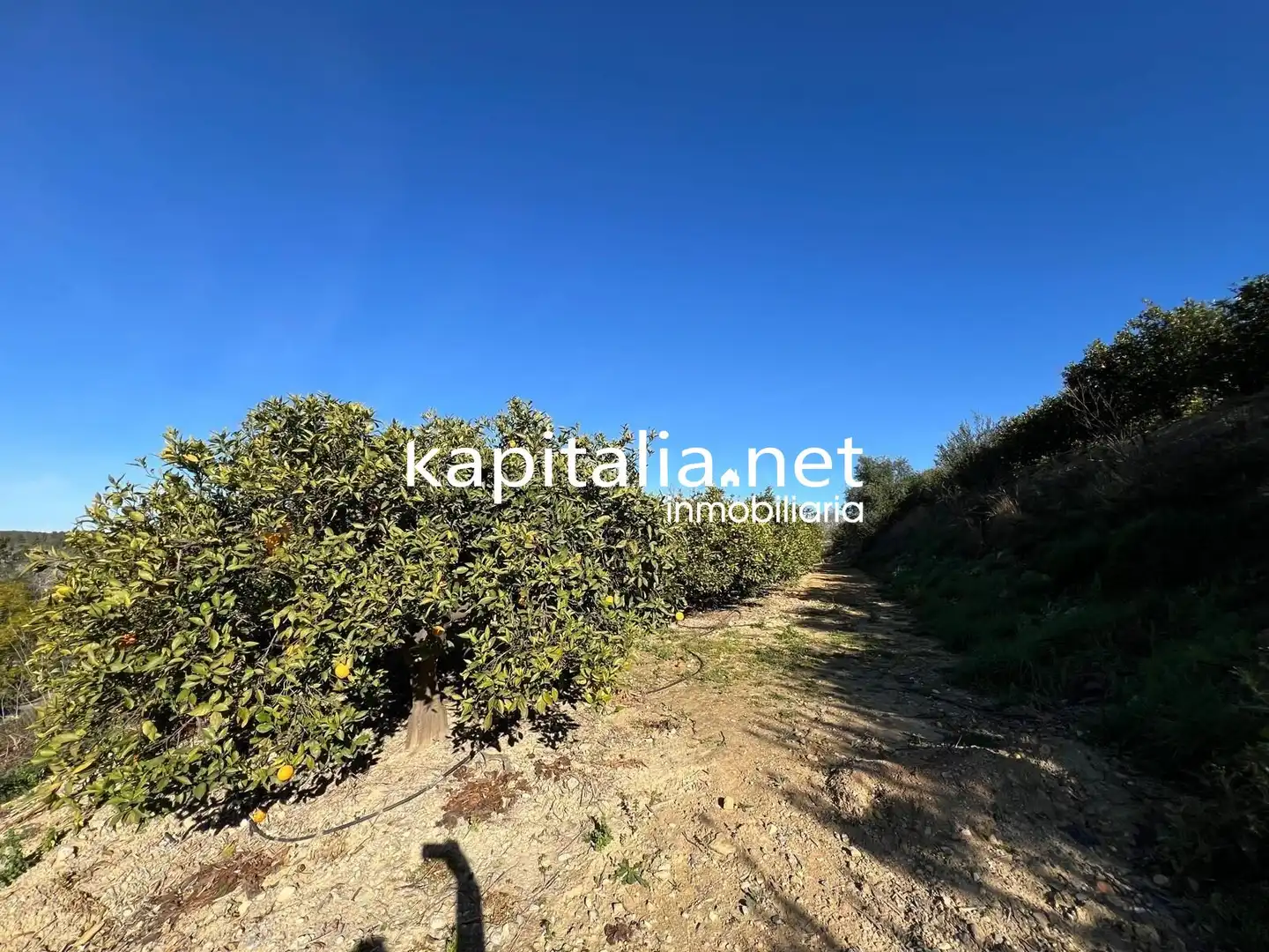 Casa rústica en venda a La Llosa de Ranes, imagen 20