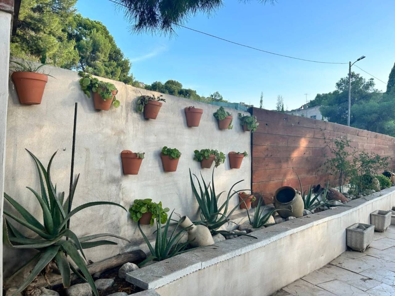 Jardí de Casa o xalet en venda en Elda amb Jardí privat, Terrassa i Piscina