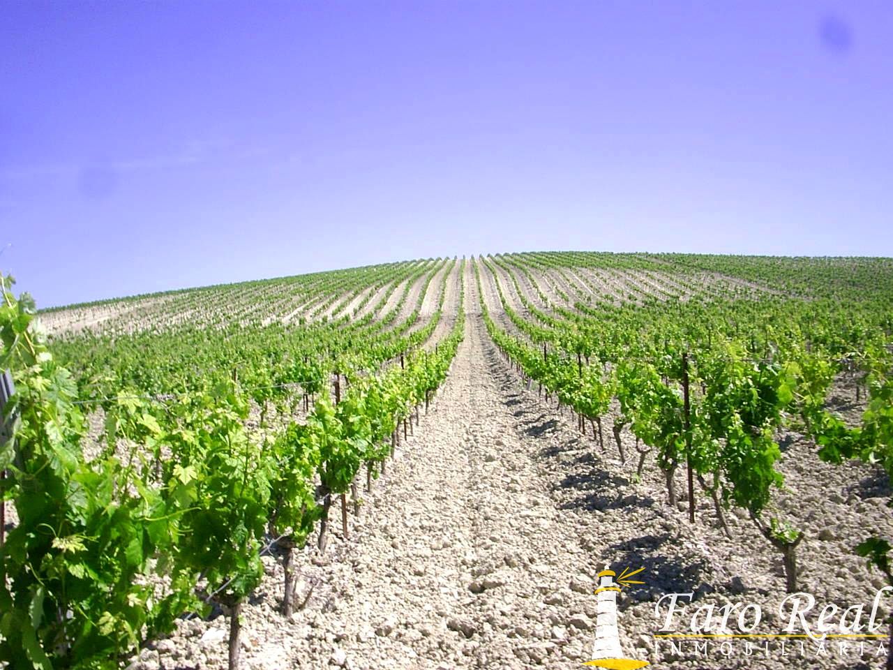 Vista exterior de Finca rústica en venda en El Puerto de Santa María