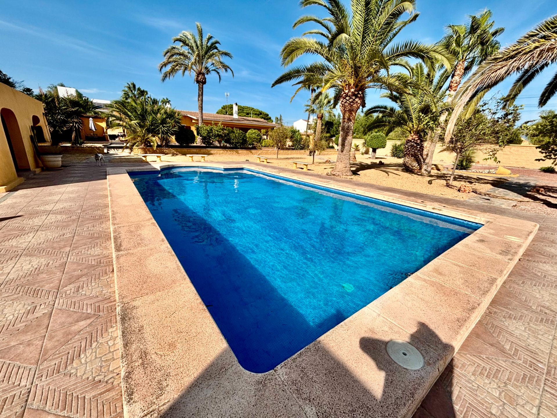 Piscina de Casa o xalet en venda en Alicante / Alacant amb Aire condicionat, Calefacció i Jardí privat