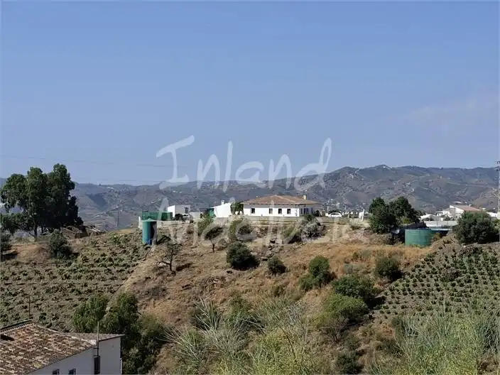 Terreni e lotti in vendita a Vélez-Málaga ciudad, imagen 16