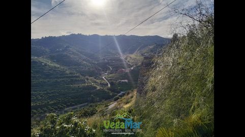 Foto 3 de Finca rústica en venda a De Río Seco, Torrecuevas - Lomas del Gato, Almuñécar