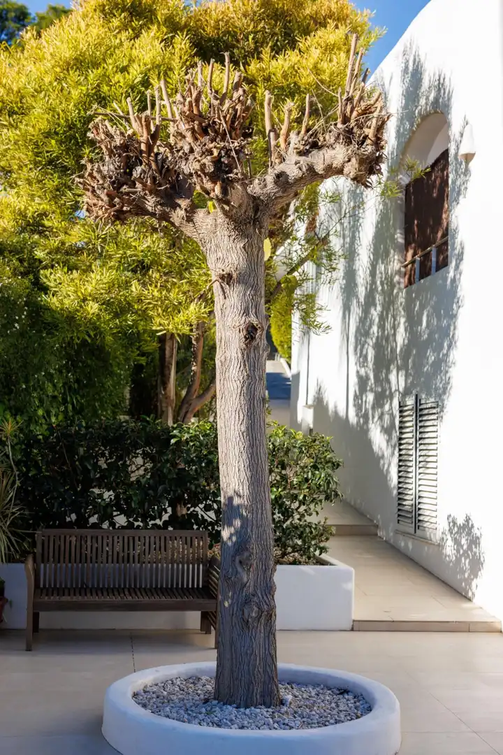 Vista exterior de Casa o chalet en venta en Picassent con Aire acondicionado, Calefacción y Jardín privado