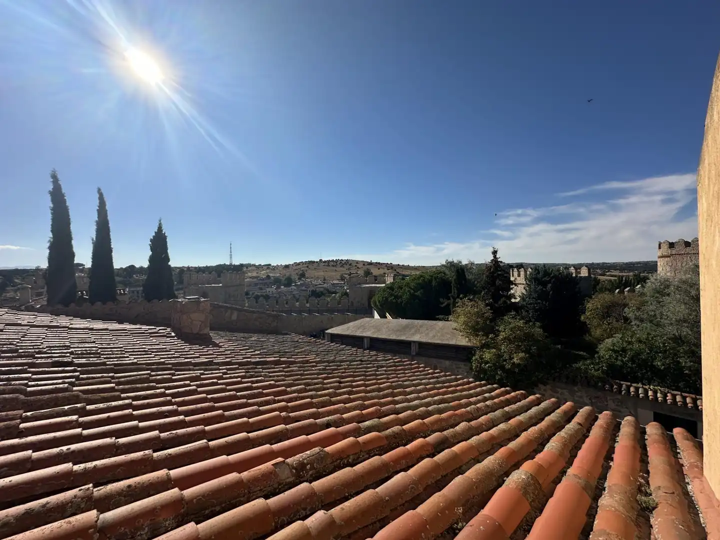 Vista exterior de Casa o xalet en venda en Ávila amb Calefacció i Moblat