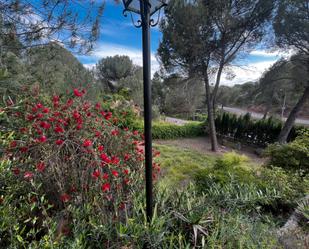 Garden of House or chalet for sale in  Córdoba Capital  with Air Conditioner, Private garden and Terrace