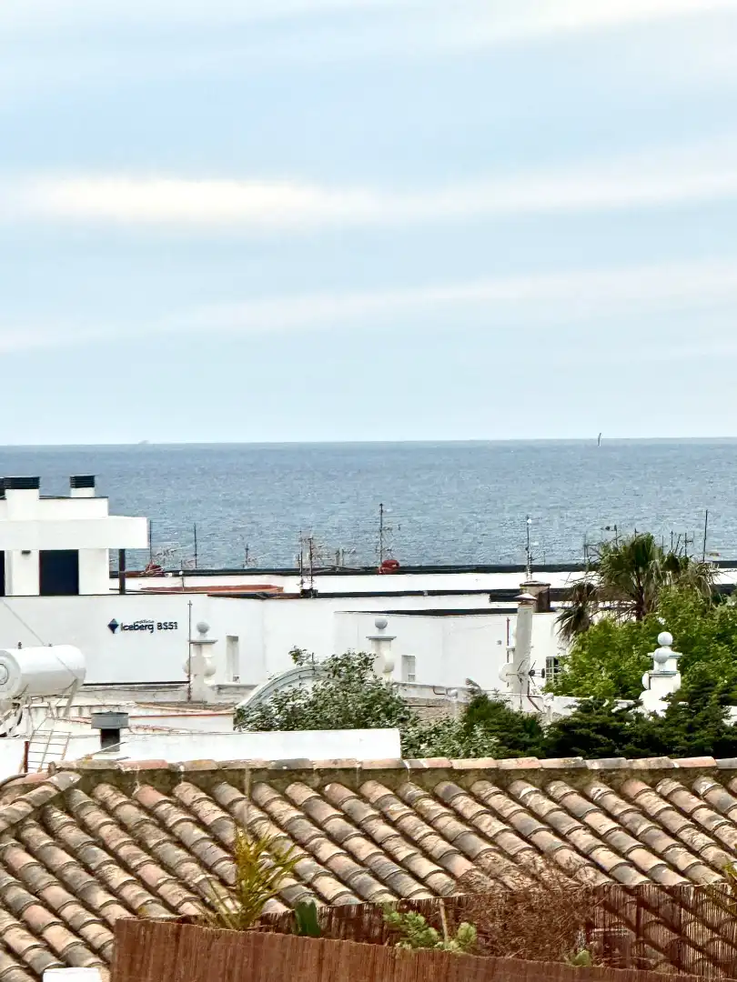 Terraced house with terrace for sale in Calle Cánovas del Castillo