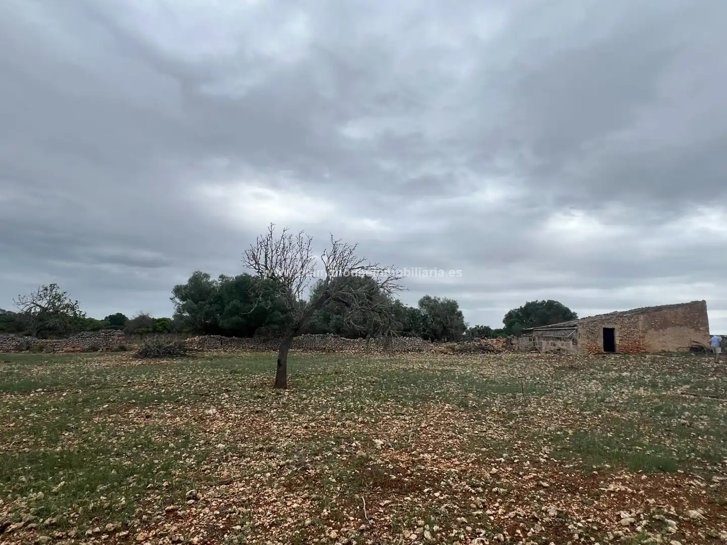 Residencial en venta en Ariany